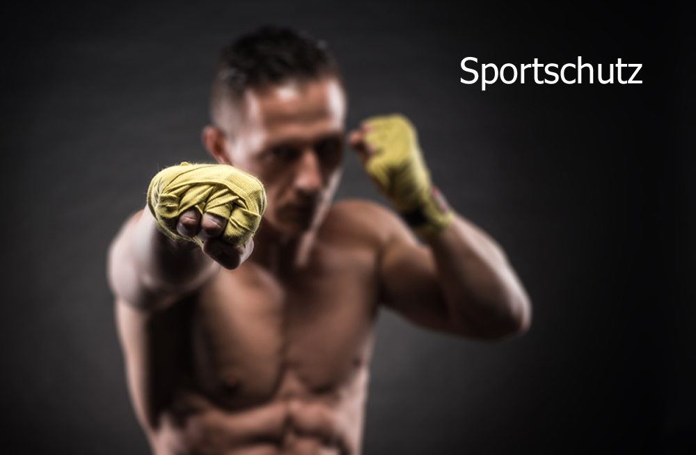 sportschutz internet